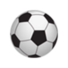 南奥克兰流浪者